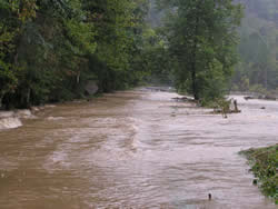 flooded river